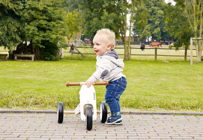 Tricycle évolutif "Charlie"