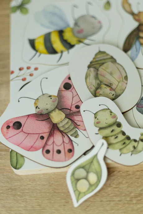 Puzzle en bois: Le cycle de vie des insectes ODEAS