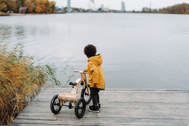 Tricycle pour draisienne LEG & GO