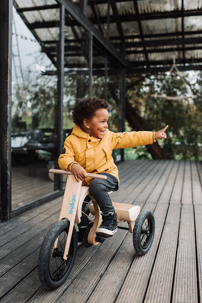 Tricycle pour draisienne LEG & GO