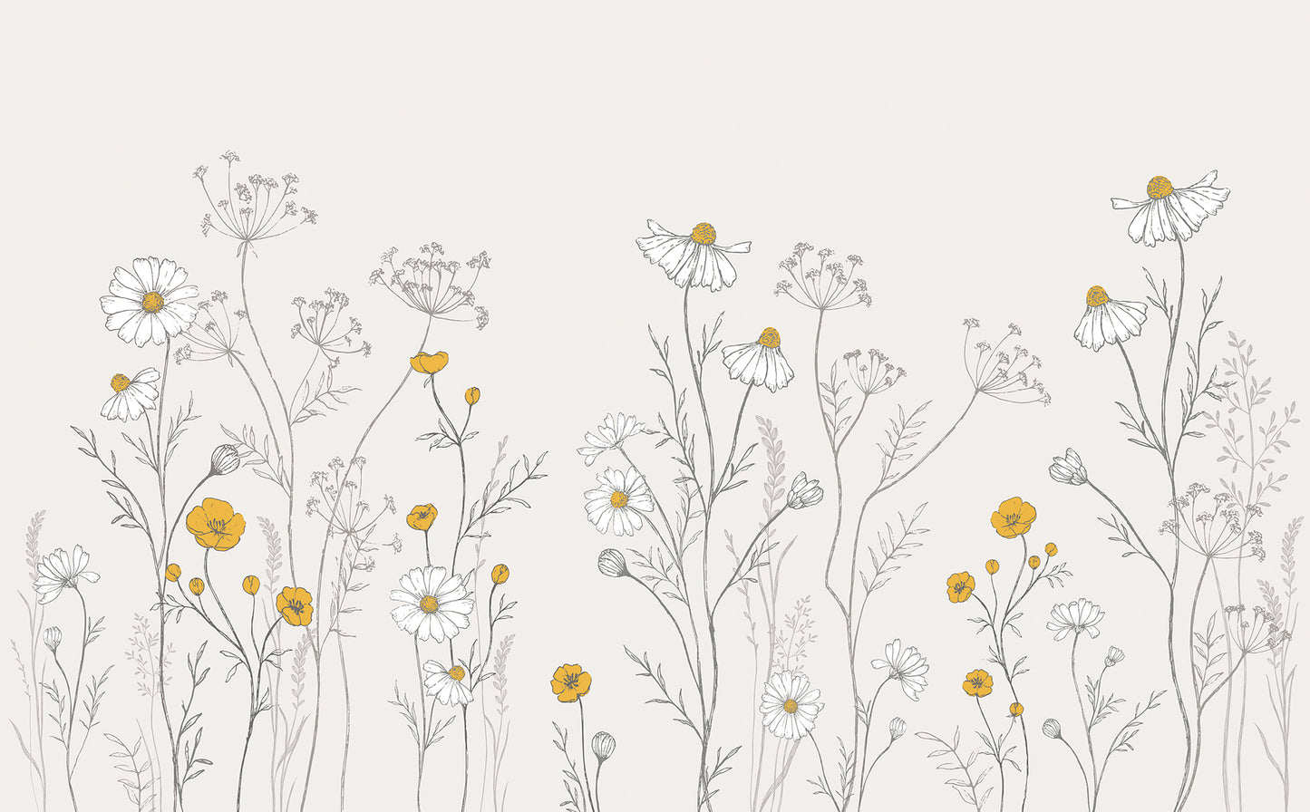 Panoramic wallpaper "Chamomile flowers" LILIPINSO