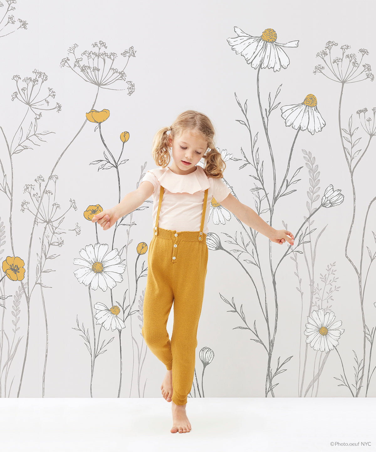 Panoramic wallpaper "Chamomile flowers" LILIPINSO