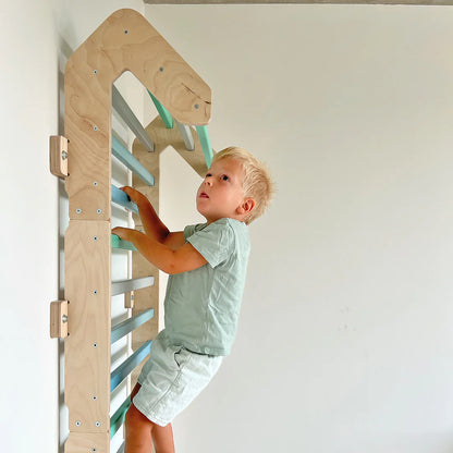 BUSYKIDS modular climbing wall