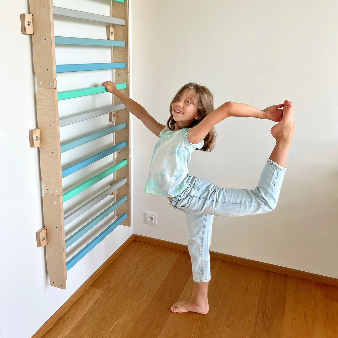 BUSYKIDS modular climbing wall